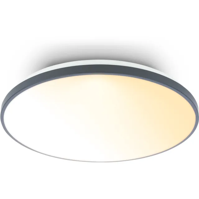 Briloner Competo - LED Plafondlamp - dimbaar - CCT - met afstandsbediening - melkachtig lichtvlak - Ø48cm - antraciet Anthraciet