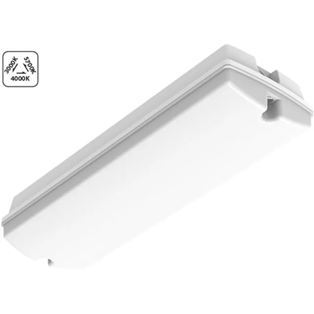 Profo LED Galerij/Portiekverlichting 3W 280lm | Instelbare lichtkleur | IP66 Buitenlamp | Geen fitting | Warm Wit-Koel Wit-Daglicht | 3 watt | 35.000 Branduren Opaal
