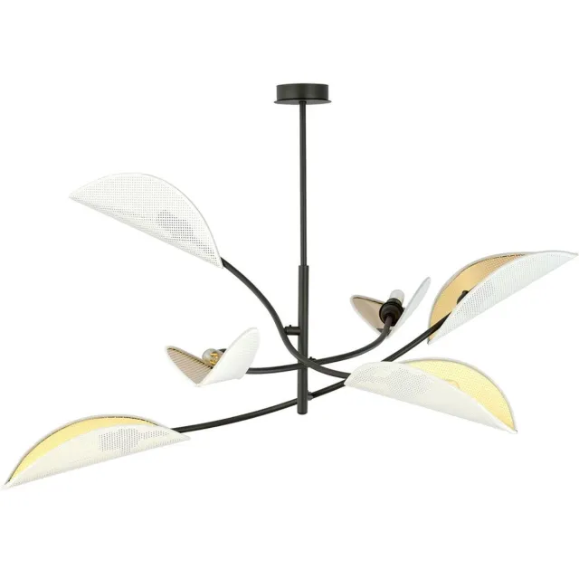 Emibig LOTUS 6 WHITE/GOLD Black