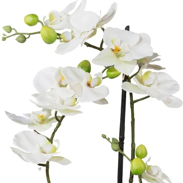 Gasper Kunstorchidee Phalaenopsis in keramische pot - 3D-print, Real Touch