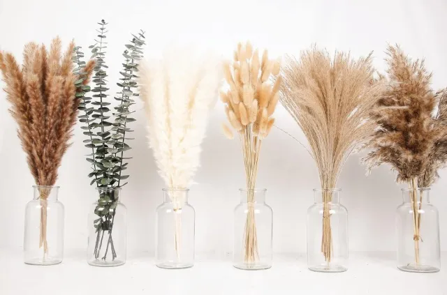 Famanu Boho pampasgras decoratie set van 110 stuks, natuurlijke gedroogde pampas, konijnenstaarten en eucalyptus