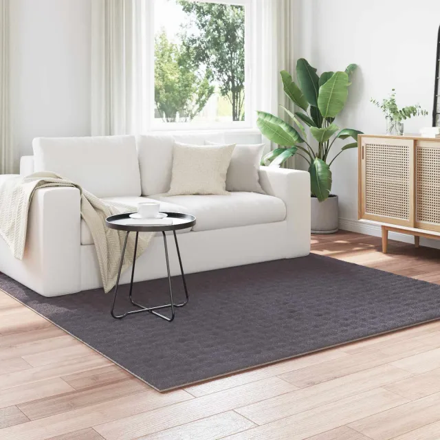 vidaXL Vloerkleden Vierkant SIROLO Antraciet 120 x 120 cm Polyester, foto 2