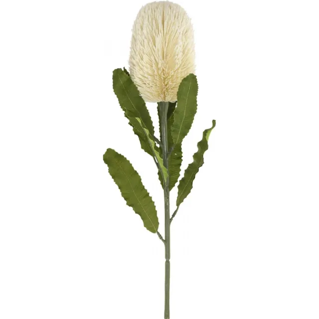 Viana Kunstbloem Banksia Wit Crème Kunstmatige Exoten 64cm Natuur