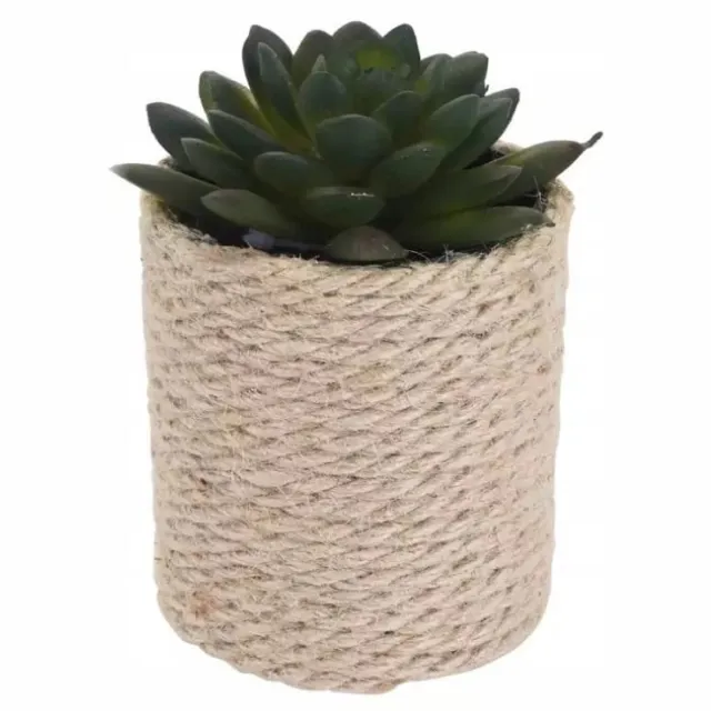 Koopman Sierplant - Kunstplant in Pot - 8x14 cm - Realistische Uiterlijk Groen