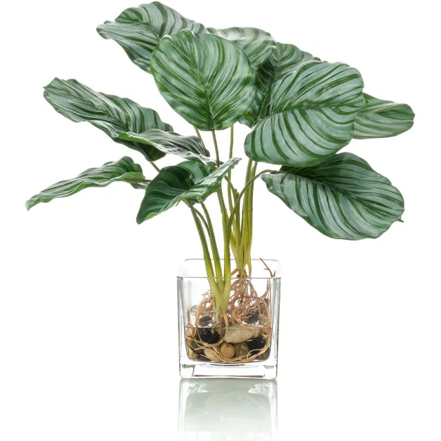 Easyplants Kunstplant Calathea 39 cm in glas Groen