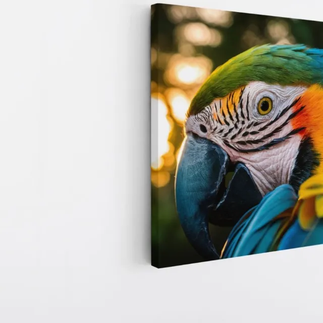 Saammp Canvas Schilderij - Papagaai - Kleurrijk - Natuur - Dieren - 40x40 - Foto op canvas - Wanddecoratie - Muurdecoratie Woonkamer - Slaapkamer decoratie - Canvas Print Multicolor