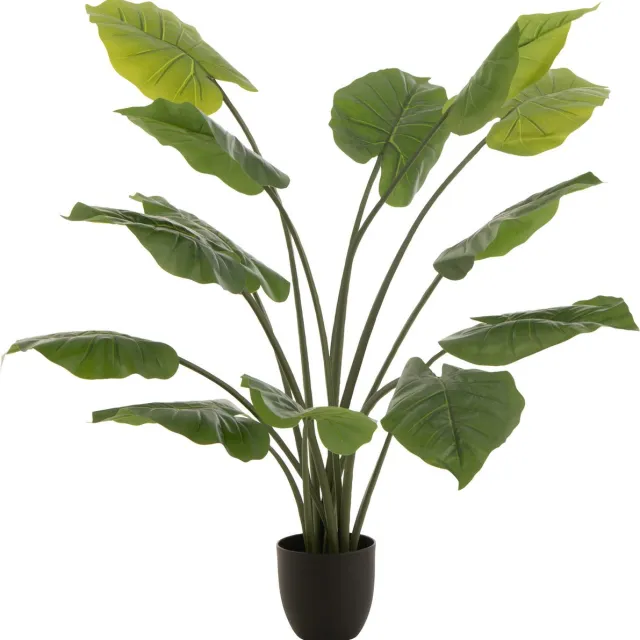 J-Line plant Taro Wild in pot - kunststof - groen - large