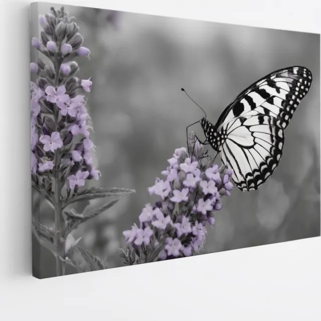 Saammp Canvas Schilderij - Paarse bloemen - vlinder - Natuur - Dieren - 90x60 - Foto op canvas - Wanddecoratie - Muurdecoratie Woonkamer - Slaapkamer decoratie - Canvas Print Multicolor