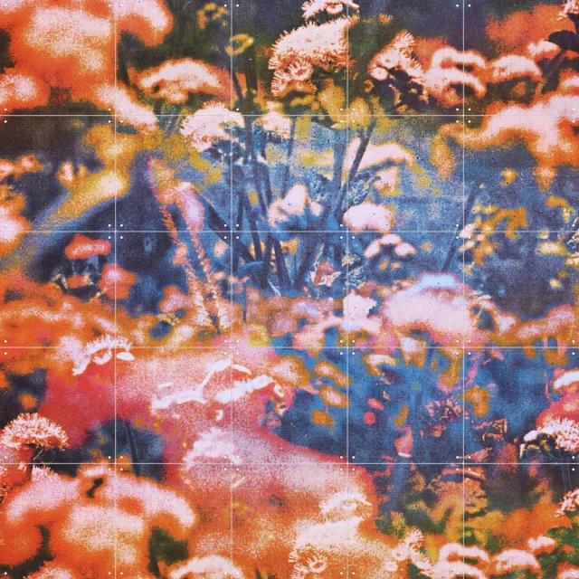 IXXI Earthly Enchantment, Amber Lauder - 100 x 100 cm - Grote wanddecoratie en posters - Kleurrijk, Impressionisme, Abstract, Slaapkamer Roze