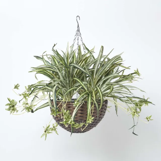 Homescapes Kunstmatige hangende koraalcactus 60 cm hoog Groen-Wit