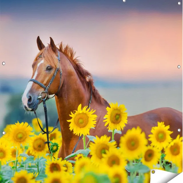 Gards Tuinposter Bruin Paard tussen de Zonnebloemen - 110x110 cm - Tuindoek - Tuindecoratie - Wanddecoratie buiten - Tuinschilderij Multikleur