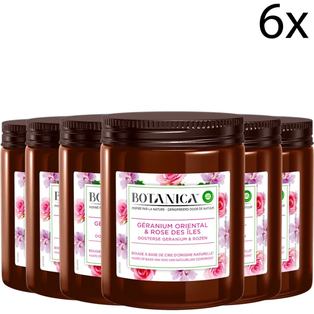 Botanica by Air Wick Geurkaars - Oosterse Geranium & Rozen x6 Rood
