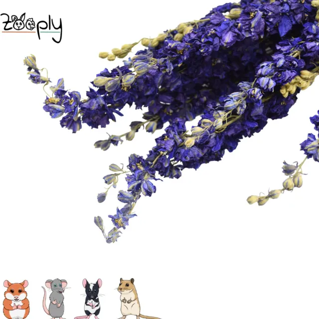Zooply Ridderspoor - Blauw - 70 gram - in koker
