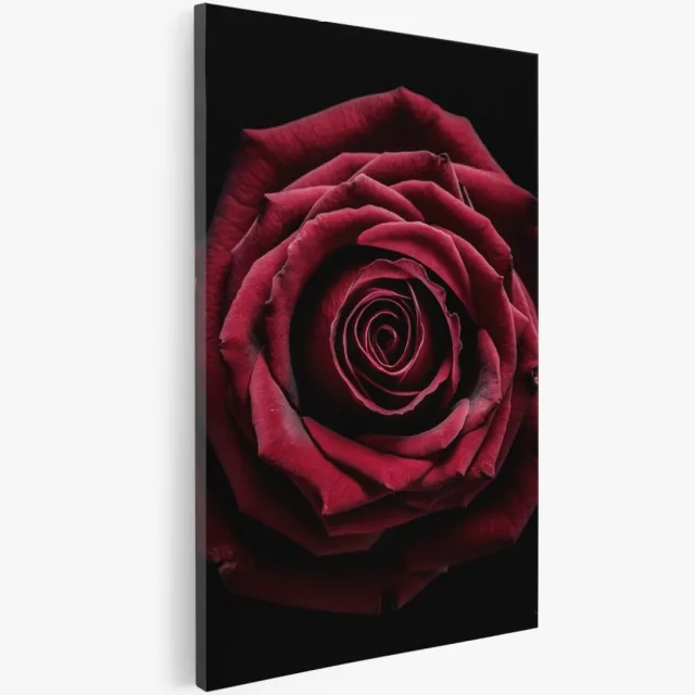 Saammp Canvas Schilderij - Grote Rode Roos - Natuur - Bloemen - 60x90 - Foto op canvas - Wanddecoratie - Muurdecoratie Woonkamer - Kantoor Decoratie Multicolor