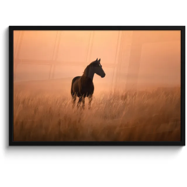 FrameYourWall Poster in lijst - Fotolijst 90x60 cm - Posters - Paard - Grasveld - Zonsondergang - Posterlijst zwart - Decoratie - Wanddecoratie woonkamer - Muurdecoratie slaapkamer