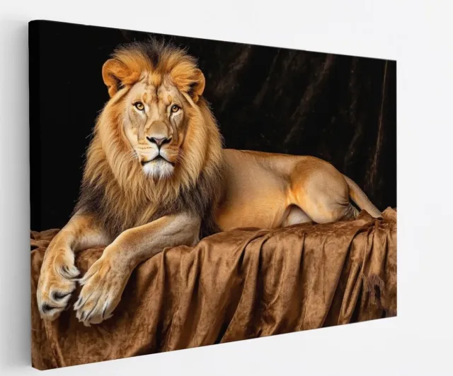 Saammp Canvas Schilderij - Leeuw op deken - Kunst - Dieren - Abstract - 50x40 - Foto op canvas - Wanddecoratie - Muurdecoratie Woonkamer - Slaapkamer decoratie - Canvas Print Multicolor