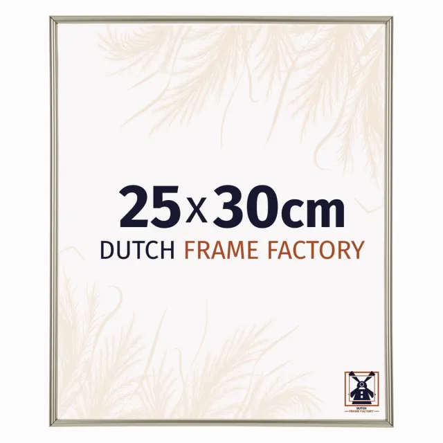 Dutch Frame Factory Fotolijst 25x30 cm - Kunststof - Champagne - Angers