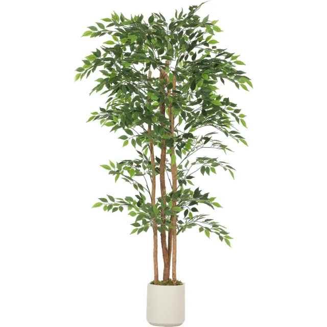 Homona Kunstmatige Banyanboom - 180 cm - Groen/Wit