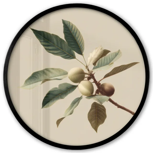 FrameYourWall Poster in lijst Rond - Fotolijst 40x40 cm - Posters - Tak - Groene Bladeren - Vruchten - Ronde posterlijst zwart - Decoratie - Wanddecoratie woonkamer - Muurdecoratie slaapkamer Tak - Bladeren - Vruchten