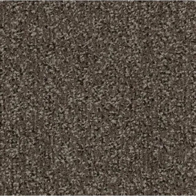 Coral Forbo Coral Classic 90 x 55 cm Taupe 4764