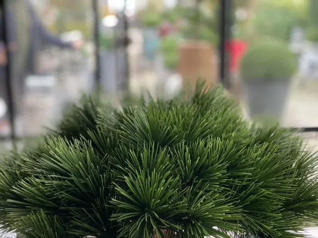 LeopoldFlora Klein kunstboompje Pinus Bonsai 55 UV Groen