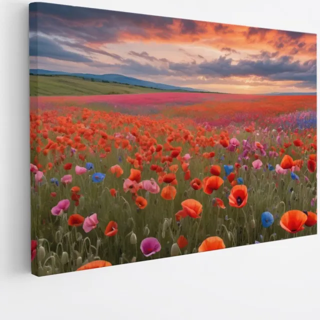 Saammp Canvas Schilderij - Landschap - Blauw - Rood - Bloemenveld - Natuur - 70x50 - Foto op canvas - Wanddecoratie - Muurdecoratie Woonkamer - Slaapkamer decoratie - Canvas Print Multicolor