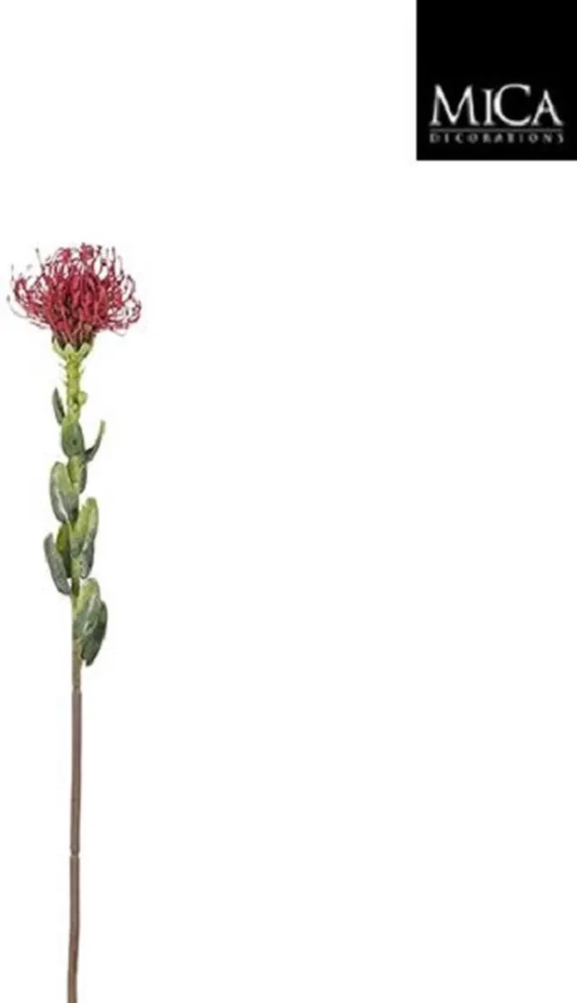 Easyplants Mica Decorations - Kunstbloem - Protea bordeaux - l61cm