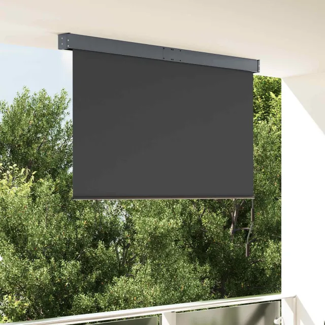 vidaXL Rolgordijn voor buiten 160x250 cm antraciet