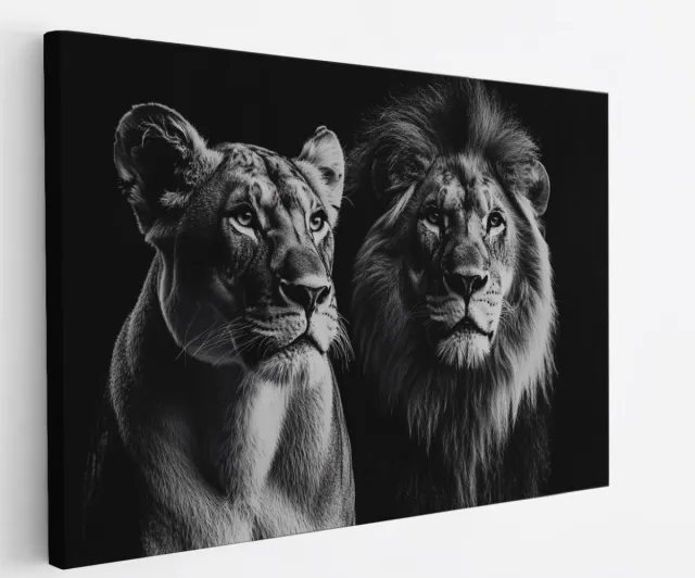 Saammp Canvas Schilderij - Leeuwin en leeuw - Portret - Dieren - Natuur - 60x40 - Foto op canvas - Wanddecoratie - Muurdecoratie Woonkamer - Slaapkamer decoratie - Canvas Print Multicolor