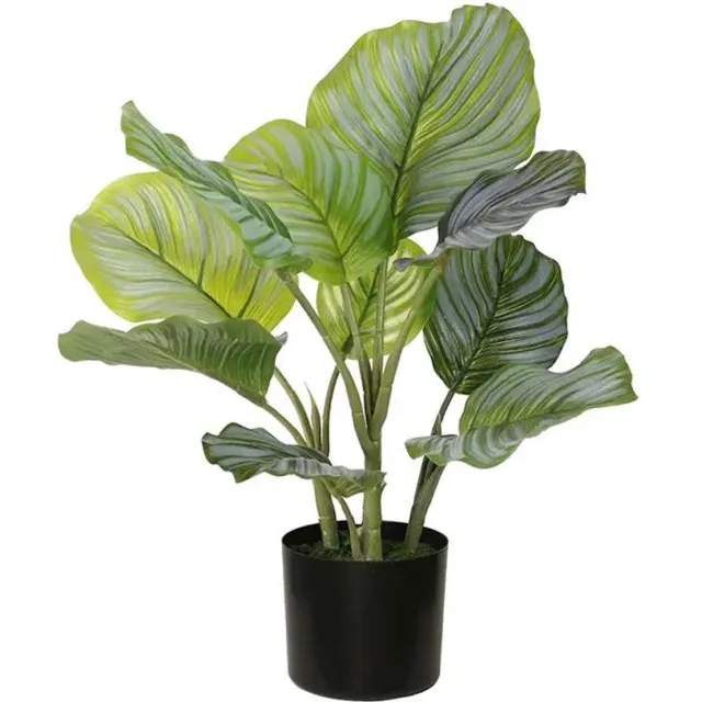 Buitengewoon Boet Calathea orbifolia 50 cm kunstplant Buitengewoon de Boet groen