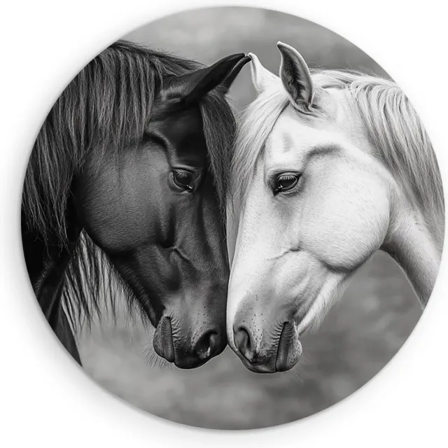 Saammp Forex Muurcirkel - 2 Verliefde Paarden - Dieren - Natuur - Ø 50 - Wandcirkel - Wanddecoratie Cirkel - muurdecoratie Woonkamer - Slaapkamer decoratie - Rond Schilderij
