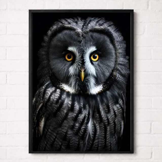 Kleurmedia Grijze Uil Poster - Vogelportretten Collectie - Dieren Posters - A2+ 43,2 x 61 cm Grijs