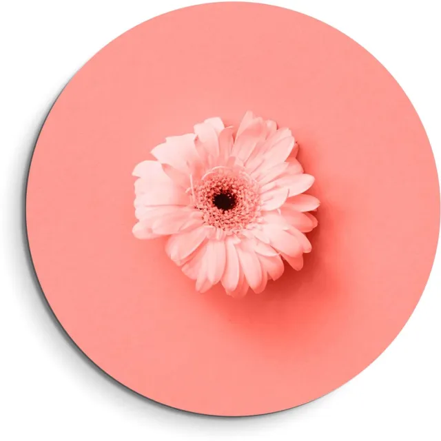 KitchenArt Coral Gerbera – Muurcirkel Binnen - ø 60 cm - Wandcirkel - Mét Ophangsysteem - Wanddecoratie - Muurdecoratie Bloemen, Roze
