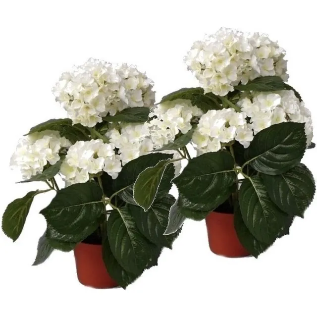 Bellatio Flowers & Plants Topart kunstplant met bloemen - 2x - Hortensia - wit - H36 cm - Dia 10 cm - Bloemetjes - Hydrangea
