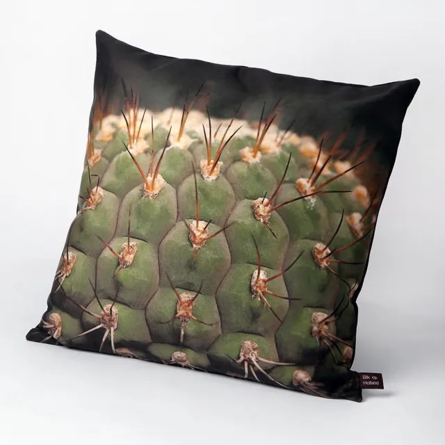 Hugs Sierkussen - Indoor Cactus - Zwart En Groen - 50 Cm X 50 Cm