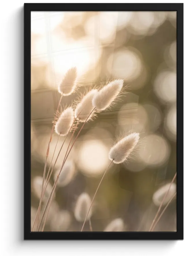 FrameYourWall Poster in lijst - Fotolijst 40x60 cm - Posters - Hazestaartgras - Wit - Zonlicht - Posterlijst zwart - Decoratie - Wanddecoratie woonkamer - Muurdecoratie slaapkamer