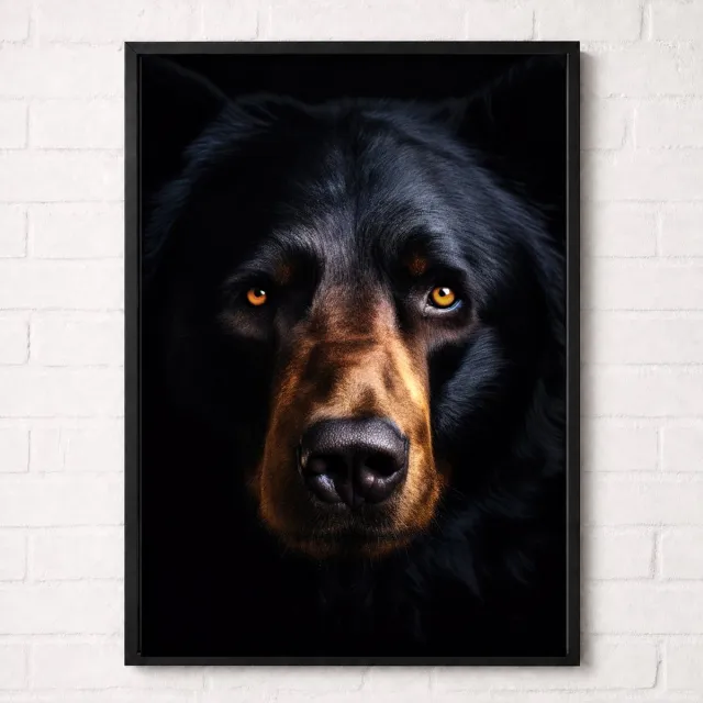 Kleurmedia Zwarte Beer Poster - Wildlife Portrait Collection - Dieren Posters - A1+ 61 x 91,5 cm