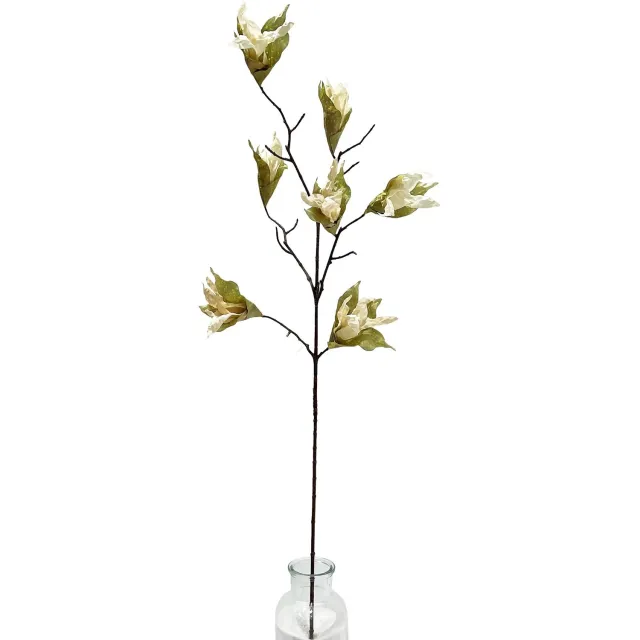 homebound by ky Kunsttak gedroogde Magnolia 89cm off-white Beige