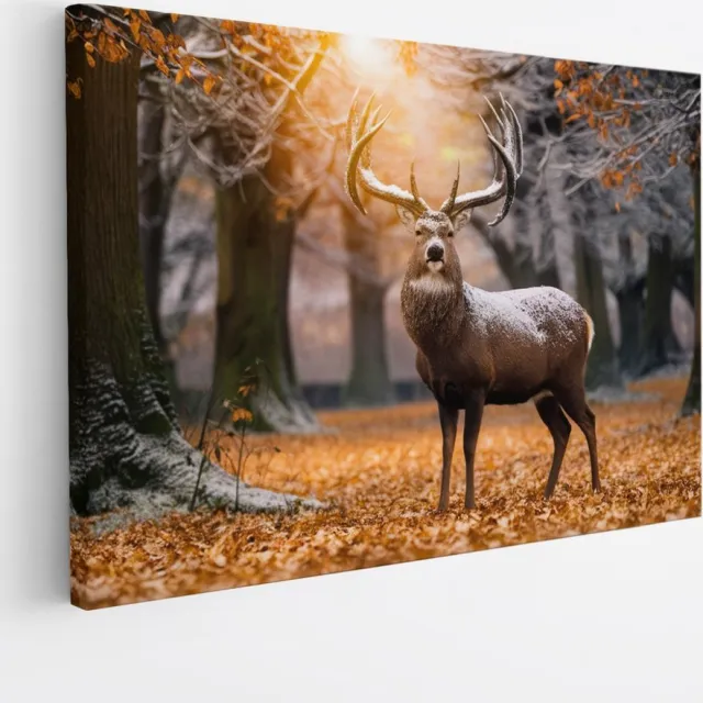 Saammp Canvas Schilderij - hert in zonsopgang met sneeuw op zich - Natuur - Dieren - 90x60 - Foto op canvas - Wanddecoratie - Muurdecoratie Woonkamer - Slaapkamer decoratie - Canvas Print Multicolor