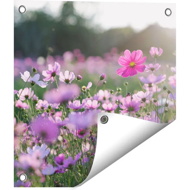 Gards Tuinposter Bloemenveld met Paarse Kosmos - 40x40 cm - Tuindoek - Tuindecoratie - Wanddecoratie buiten - Tuinschilderij Multikleur