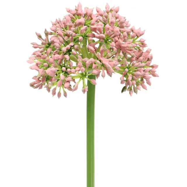 Viana Allium kunstmatig Roze 55cm