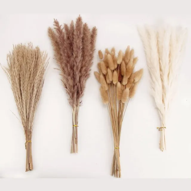 Famanu Gedroogd pampasgrasdecor, 100 stuks pampasgras met konijnenstaarten gedroogde bloemen, rietgrasboeket voor bruiloft, boho-bloemen, thuis tafeldecoratie, rustiek boerderijfeest (wit en bruin)