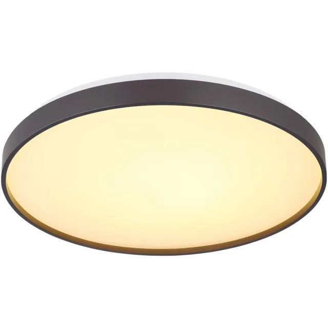 Globo LED plafondlamp antraciet woonkamerlamp plafond keukenlamp, acryl metaal, LED 24W 1400Lm warm wit, D 48 cm