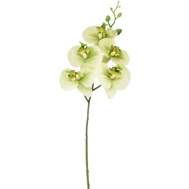 Flor und Decor Orchidee Kunst Geelgroene Phalaenopsis 85cm