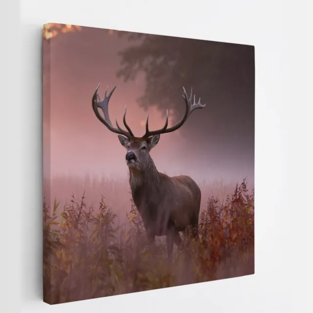 Saammp Canvas Schilderij - hert met zonsopgang in de mist - Natuur - Dieren - 100x100 - Foto op canvas - Wanddecoratie - Muurdecoratie Woonkamer - Slaapkamer decoratie - Canvas Print Multicolor