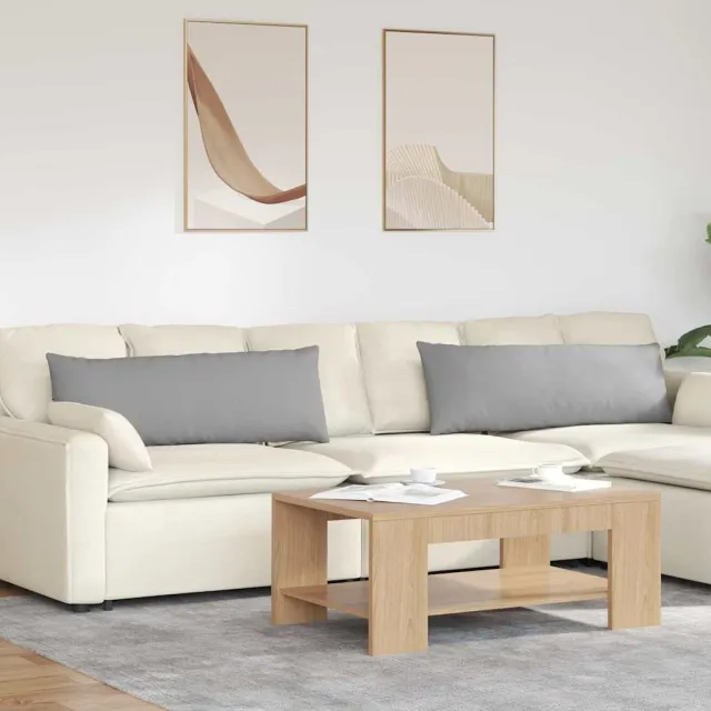 vidaXL Sofa Kussens 2 st Stof Wolkengrijs 120 x 40 cm