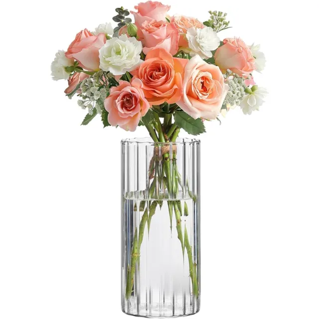 JeiibrZui Collectie Moderne Glas - 20 Cm Hoog - 1 Stuk Vaas - Transparant Voor Tulpen Pampasgras Rozen