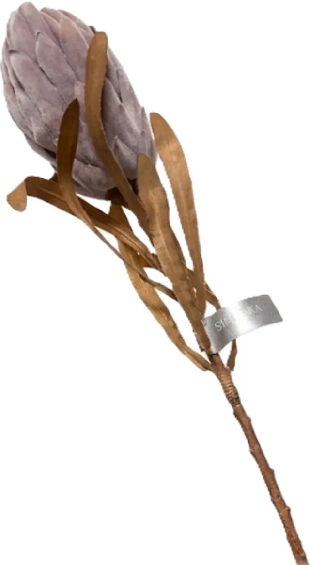 Silk-ka Kunstbloem-Zijde Bloem Protea Steel Grijs 62 cm