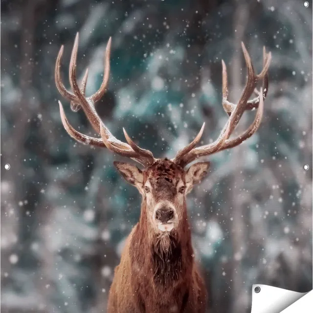Gards Tuinposter Hertenkop - Hert in de Sneeuw - 100x100 cm - Tuindoek - Tuindecoratie - Wanddecoratie buiten - Tuinschilderij Multikleur