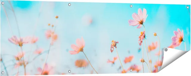 Gards Tuinposter Paarse Kosmos Bloemen - 150x50 cm - Tuindoek - Tuindecoratie - Wanddecoratie buiten - Tuinschilderij Multikleur